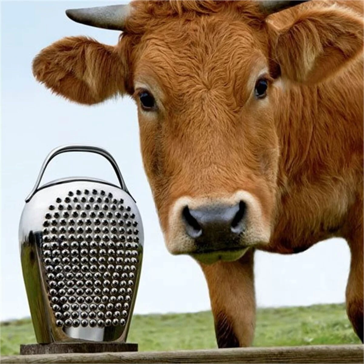 Alessi Chees Please kaasrasp kunststof rvs Alessi Chees Please Kaasrasp Kunststof Rvs -Goedkope Alessi winkel